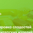 Картинка предоставлена автором статьи. На изображении — ярко-зелёный фон.  Внизу крупным белым шрифтом написано: «Маркировка сладостей и кондитерских изделий».. - Администрация Алтайского района