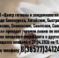 Картинка предоставлена автором статьи. На изображени размещён чёрный текст, который содержит информацию о горячей линии.. - Администрация Алтайского района